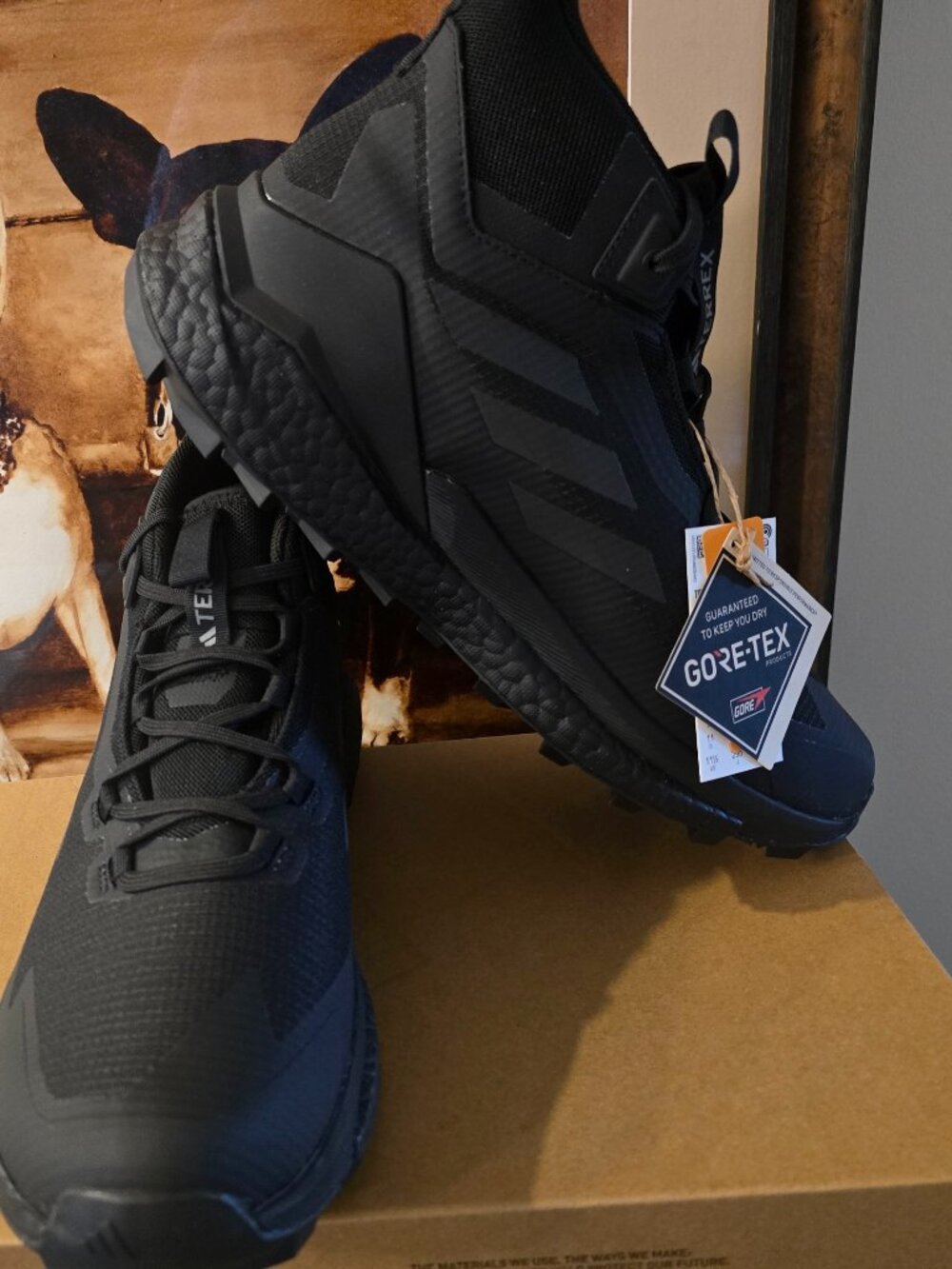 Adidas Terrex Free Hiker 2.0 Gore-Tex Hiking Boots IH3524 BLACK Men’s Sz 10 NEW